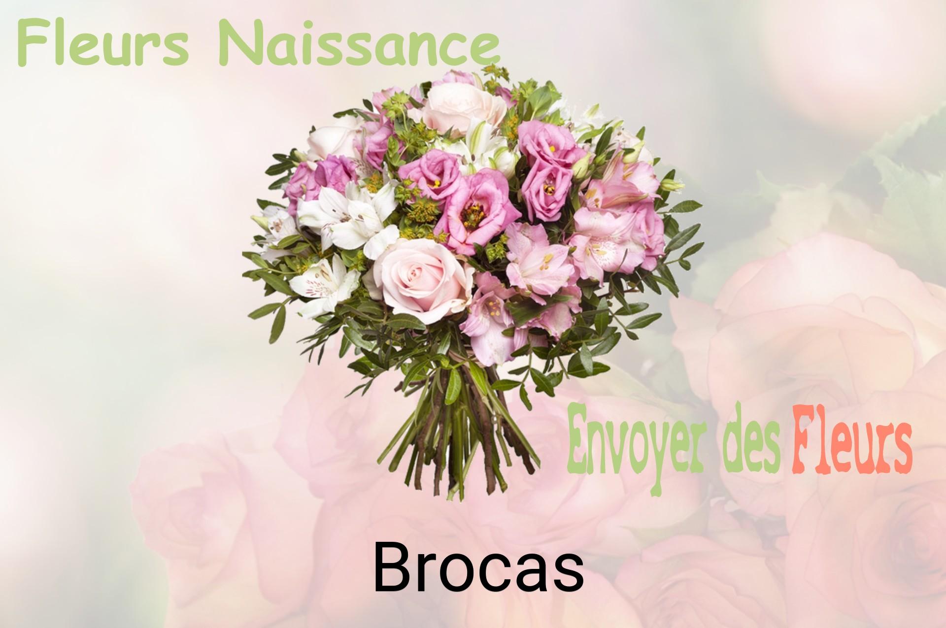 Bouquet de fleurs de naissance livré à Brocas