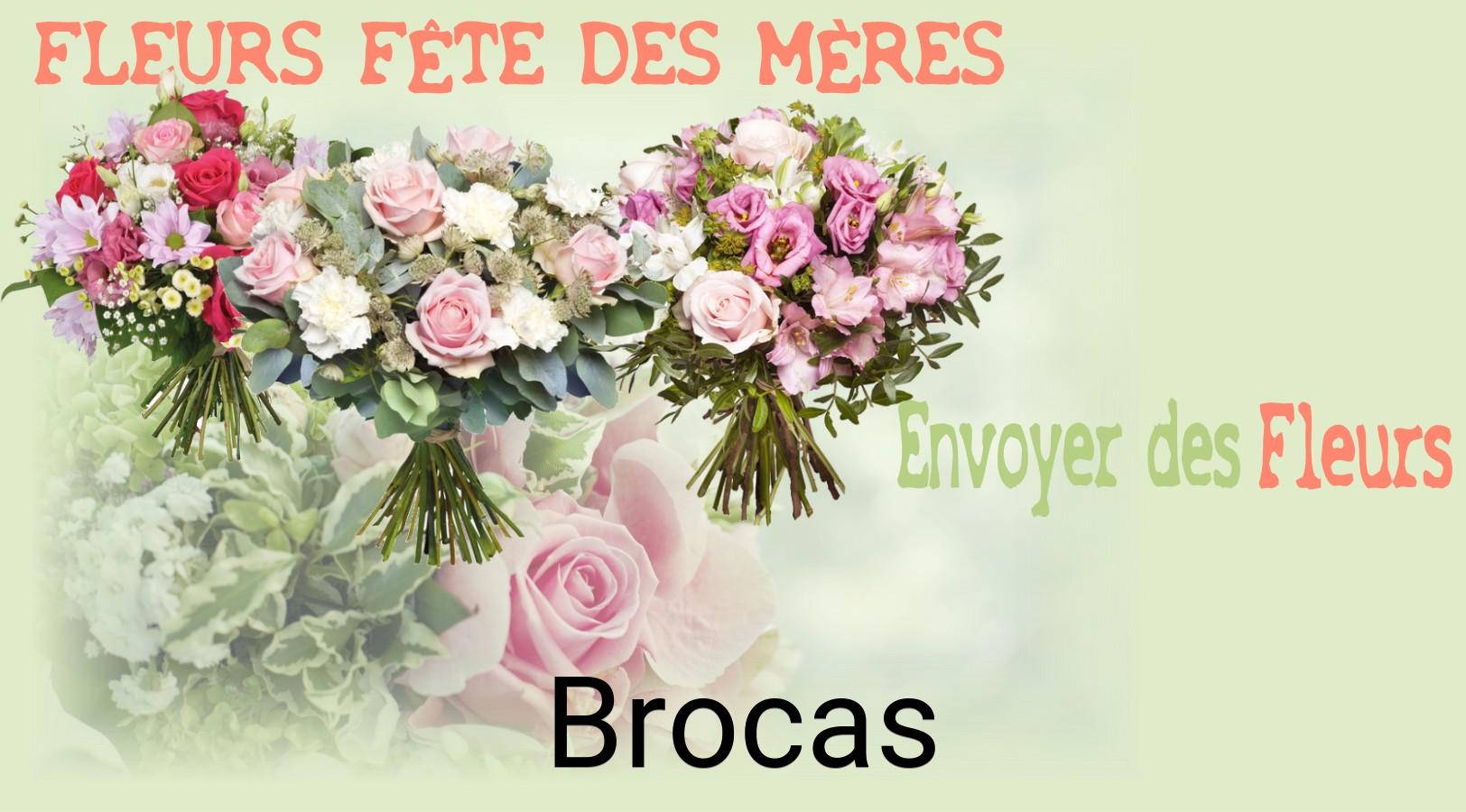 Bouquet de Fête des Mères livré à Brocas